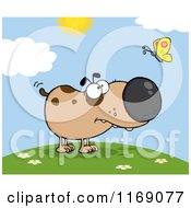 Cartoon Of A Spotted Brown Dog Watching A Butterfly On A Hill Royalty Free Vector Clipart