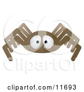 Poster, Art Print Of Brown Spider
