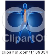 Poster, Art Print Of 3d Blue Man With A Highlighted Spine