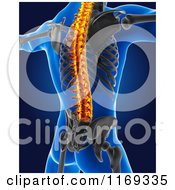 Clipart Of A 3d Blue Male Skeleton Xray Of A Highlighted Spine Royalty Free CGI Illustration by KJ Pargeter