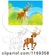 Cartoon Of A Wild Deer Near Shrubs With Color And Outlined Poses Royalty Free Clipart