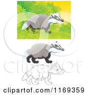 Poster, Art Print Of Wild Badger Near Shrubs With Color And Outlined Poses