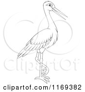 Cartoon Of An Outlined Stork Bird Royalty Free Vector Clipart
