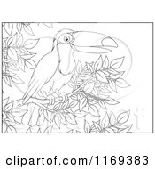 Poster, Art Print Of Outlined Toucan Bird Perched In A Tree