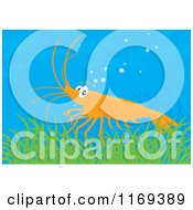 Cartoon Of A Cute Shrimp In Aquatic Grass Royalty Free Vector Clipart by Alex Bannykh