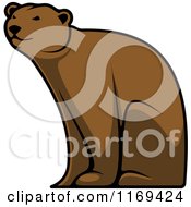 Poster, Art Print Of Happy Brown Bear Sitting