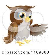 Brown Owl Presenting