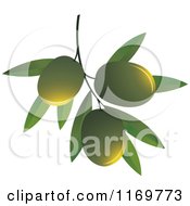 Poster, Art Print Of Green Olives On A Branch