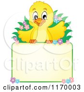 Cartoon Of A Happy Cute Yellow Chick Over A Sign Royalty Free Vector Clipart