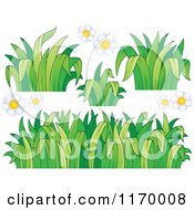 Cartoon Of White Daisy Flowers And Grss Royalty Free Vector Clipart