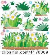Cartoon of Daisy Flowers and Grss - Royalty Free Vector Clipart by visekart #COLLC1170009-0161