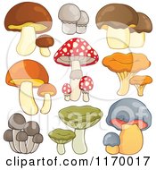 Cartoon of Different Kinds of Mushrooms - Royalty Free Vector Clipart by visekart #COLLC1170017-0161