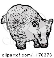 Cartoon Of A Badger Royalty Free Vector Illustration by lineartestpilot