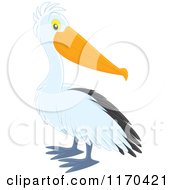 Poster, Art Print Of Cute Pelican Bird