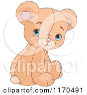 Poster, Art Print Of Cute Sittin Teddy Bear Looking Back Over His Shoulder