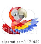 Poster, Art Print Of Happy Macaw Parrt Presenting A Sign