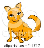 Poster, Art Print Of Frisky Orange Cat