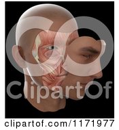 Clipart Of A 3d Face With Skin Moved To Display Muscles Underneath On Black Royalty Free CGI Illustration