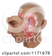 Poster, Art Print Of 3d Face With Skin Moved To Display Muscles Underneath On White
