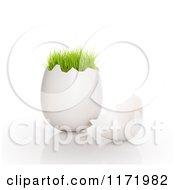 3d Cracked Egg Shell With Green Grass Growing On The Top