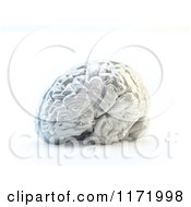 Poster, Art Print Of 3d Shiny Silver Human Brain