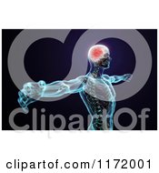 Clipart Of A 3d Human Body With A Brain And Central Nervous System On Dark Blue And Black Royalty Free CGI Illustration by Mopic
