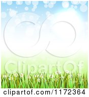 Clipart Of A Green Grass And Wildflower Background With Light Flares Royalty Free Vector Illustration