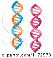 Clipart Of Pink And Orange And Blue Dna Strands Royalty Free Vector Illustration