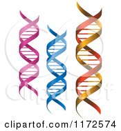Clipart Of Pink Blue And Red And Gold Dna Strands Royalty Free Vector Illustration