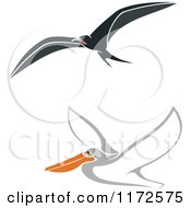 Clipart Of A Flying Albatross And Pelican Royalty Free Vector Illustration