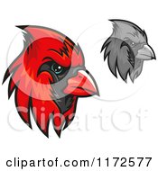 Grayscale And Red Cardinal Heads