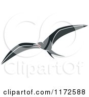 Clipart Of A Flying Albatross Bird Royalty Free Vector Illustration