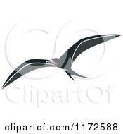 Poster, Art Print Of Flying Albatross Bird