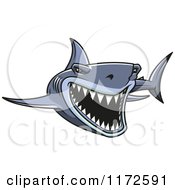 Poster, Art Print Of Attacking Shark