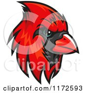Red Cardinal Head