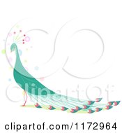 Poster, Art Print Of Beautiful Green Peacock With Copyspace