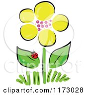 Yellow Spring Flower And Ladybug
