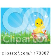 Poster, Art Print Of Cute Yellow Easter Chick Sitting On Eggs In Grass Against Blue Sky