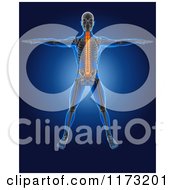 Poster, Art Print Of 3d Standing Xray Man With A Glowing Spine And Visible Skeleton