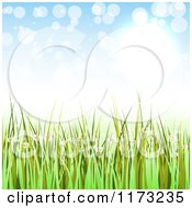 Clipart Of A Green Spring Grass And Daisy Background With Light Flares Royalty Free Vector Illustration