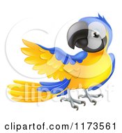 Poster, Art Print Of Blue And Yellow Parrot Presenting