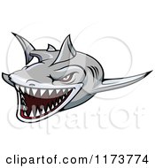 Clipart Of An Aggressive Swimming Gray Shark Royalty Free Vector Illustration