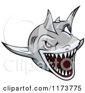 Poster, Art Print Of Aggressive Swimming Gray Shark 2