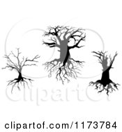Poster, Art Print Of Silhouetted Dead Trees And Roots 2
