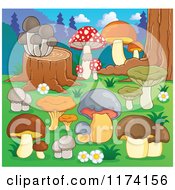 Poster, Art Print Of Mushrooms Growing Around A Tree Stump