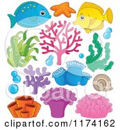 Poster, Art Print Of Marine Fish Corals Plants And Anemones