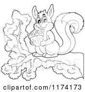 Cartoon Of A Cute Black And White Squirrel Holding An Acorn On A Branch Royalty Free Vector Clipart