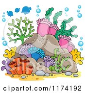Poster, Art Print Of Reef Corals Anemones And Fish