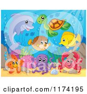 Poster, Art Print Of Dolphin Sea Turtle Starfish Octopus Crab Fish And Puffer