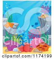 Poster, Art Print Of Underwater Ocean Background Of Reef Corals Anemones And Fish 2
